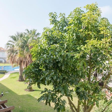 Residencial Marineu Palm Beach II Alcossebre المظهر الخارجي الصورة